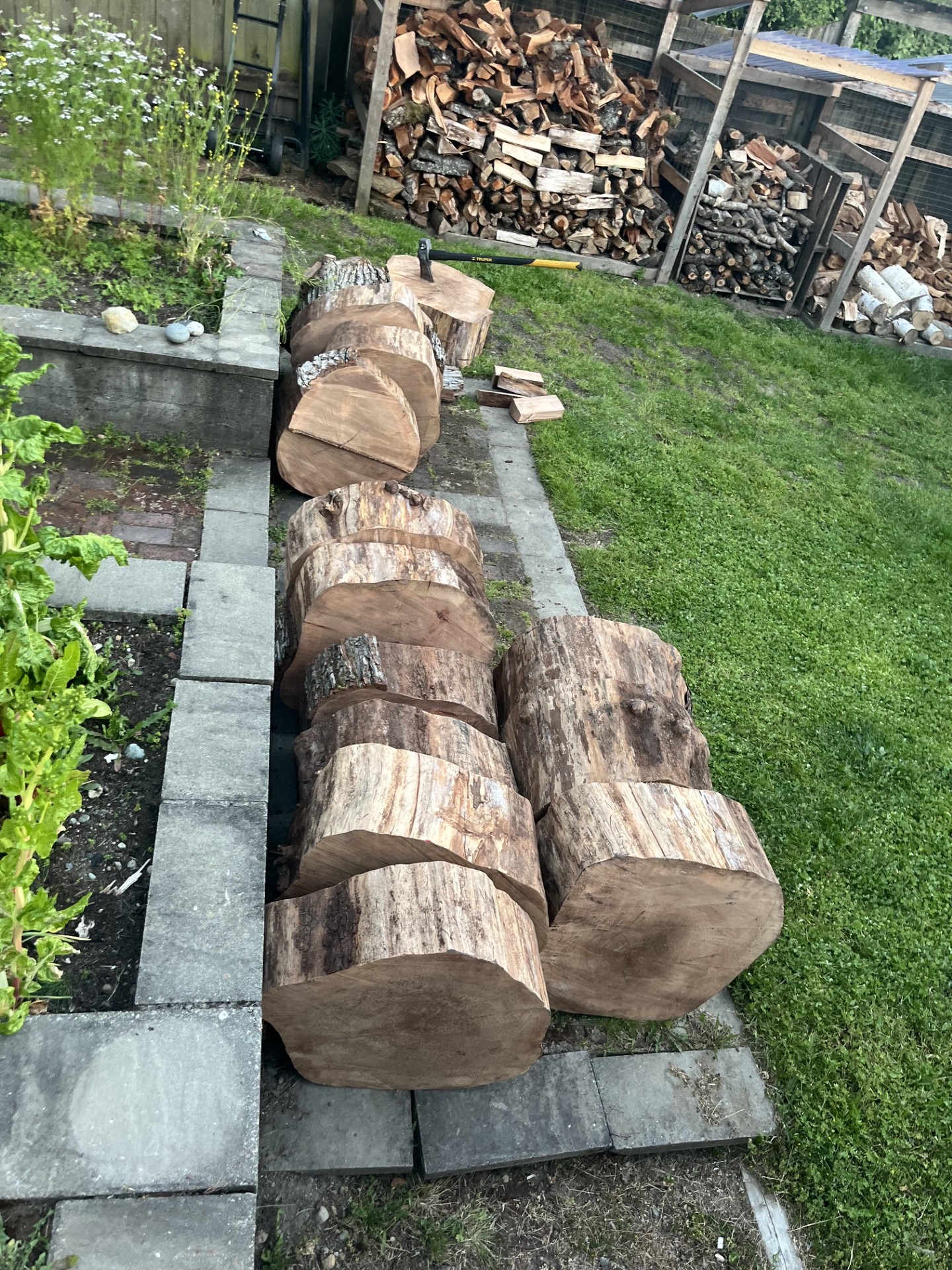 Seasoned firewood stockpile, covered and ready for delivery